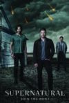 Supernatural  Prepare for the Fall Mini Poster
