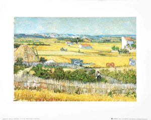 Vincent Van Gogh - The Reaping