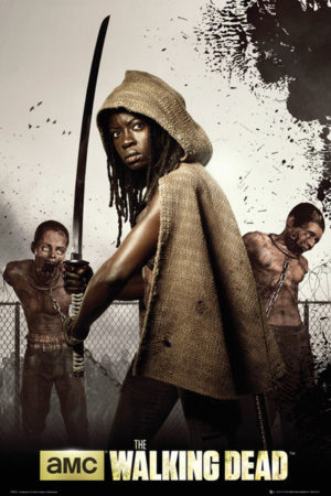The Walking Dead Michonne Poster