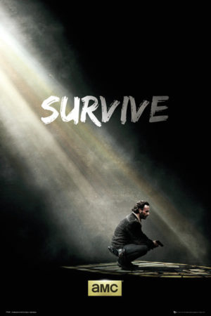 The Walking Dead Survive Poster