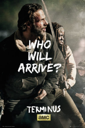 The Walking Dead Survive Rick And Michonne Poster