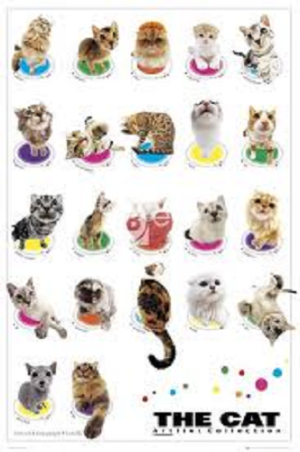 The Cat Artlist Collection Poster