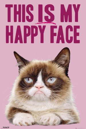 Grumpy Cat Happy Face Poster