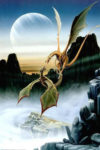 Dragons