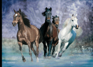 Horses Running by Bob Langrish Large 3D Lenticular Poster