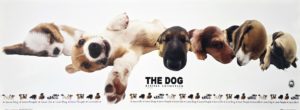 The Dog Artlist Collection Slim Poster