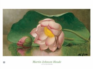 Martin Johnson Heade - Lotus Blossom Art Print