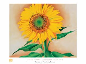 Georgia O'Keeffe - A Sunflower From Maggie Art Print