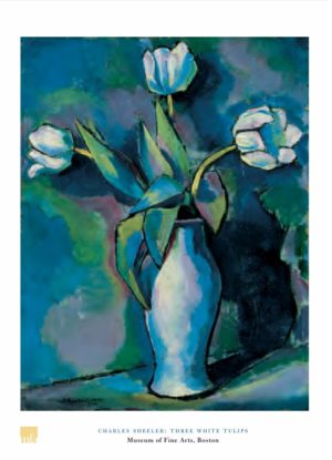Charles Sheeler - Three White Tulips Art Print