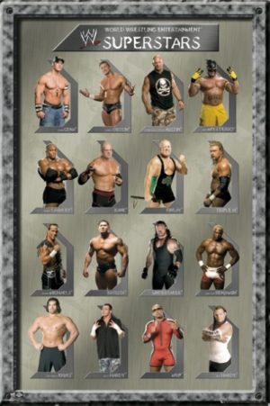 WWE Superstars Mini Poster