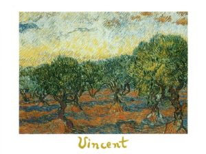 Vincent Van Gogh - The Olive Grove Art Print