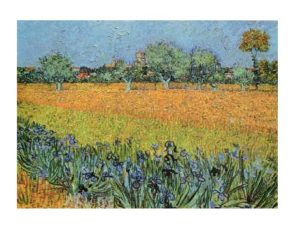 Vincent Van Gogh - View of Irises
