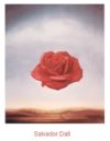 Salvador Dali - Rose Meditative Art Print