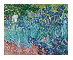 Vincent Van Gogh - Irises
