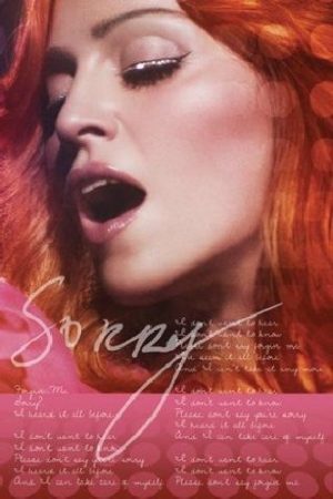 Madonna Sorry Lyrics Poster