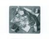Maurits Cornelis Escher - Reptiles Art Print