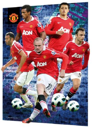 Manchester United Players 2010/2011 WINNER PREMIERSHIP Mini 3D Posters