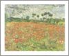 Vincent Van Gogh - Field Of Poppies - Auvers-sur-oise