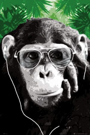 Monkey Shades