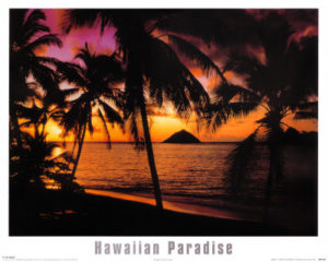 Hawaiian Paradise