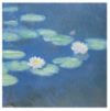 Claude Monet - Detail From Nymphaeas Art Print