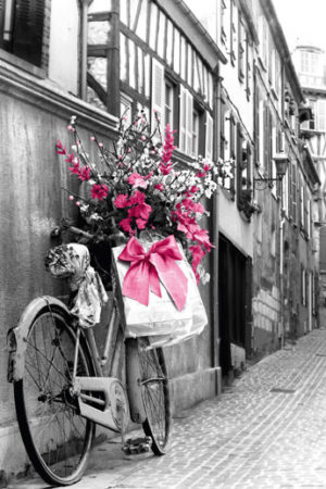 Pink Flowers And Bicycle Poster