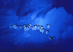 Ice Grotto Penguins Poster