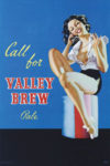 Valley Brew Pale Ale Poster