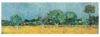 Vincent Van Gogh - Detail From View Of Arles With Irises Art Print