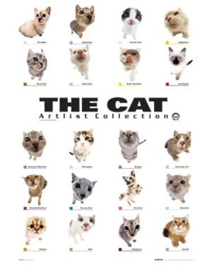 The Cat Artlist Collection Mini Poster