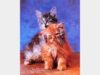 Two Kittens Playing Mini Poster