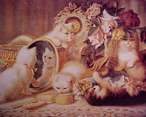 H.G. Plumb - The Five Senses Kittens Mini Poster