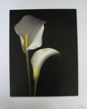 Two Lilies