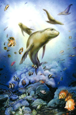 Sea Lions Poster