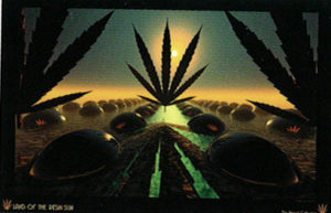 Carl Hensel - Land of the Resin Sun Poster