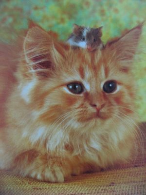 Cat and Mouse Mini Poster
