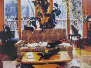 Living Room Cats Mini Poster