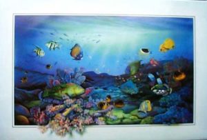 Roger John - Life on the Reef