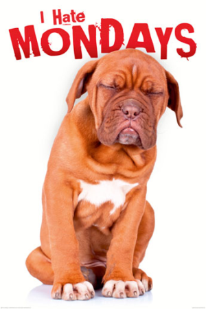 I Hate Mondays - Dog