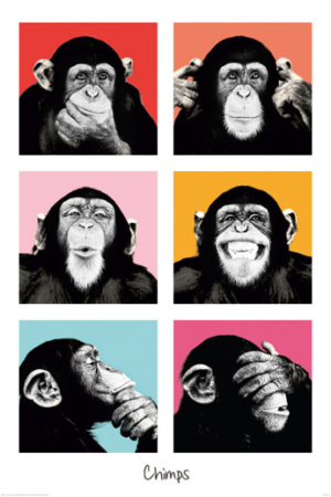 The Chimp Pop