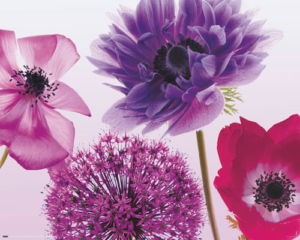 Purple Summer Mini Poster