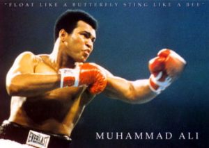 Muhammad Ali Butterfly Poster