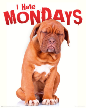 I Hate Mondays