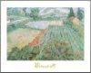 Vincent Van Gogh - Field Of Poppies