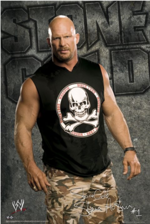 WWE Steve Austin Poster