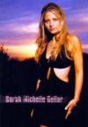 Sarah Michelle Gellar Sunset Poster