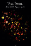 Snow Patrol A Hundred Million Suns Album Cover Poster
