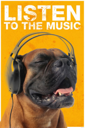 Listen to Music Dog