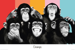 The Chimp Compilation