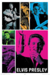 Elvis Presley Colours Poster